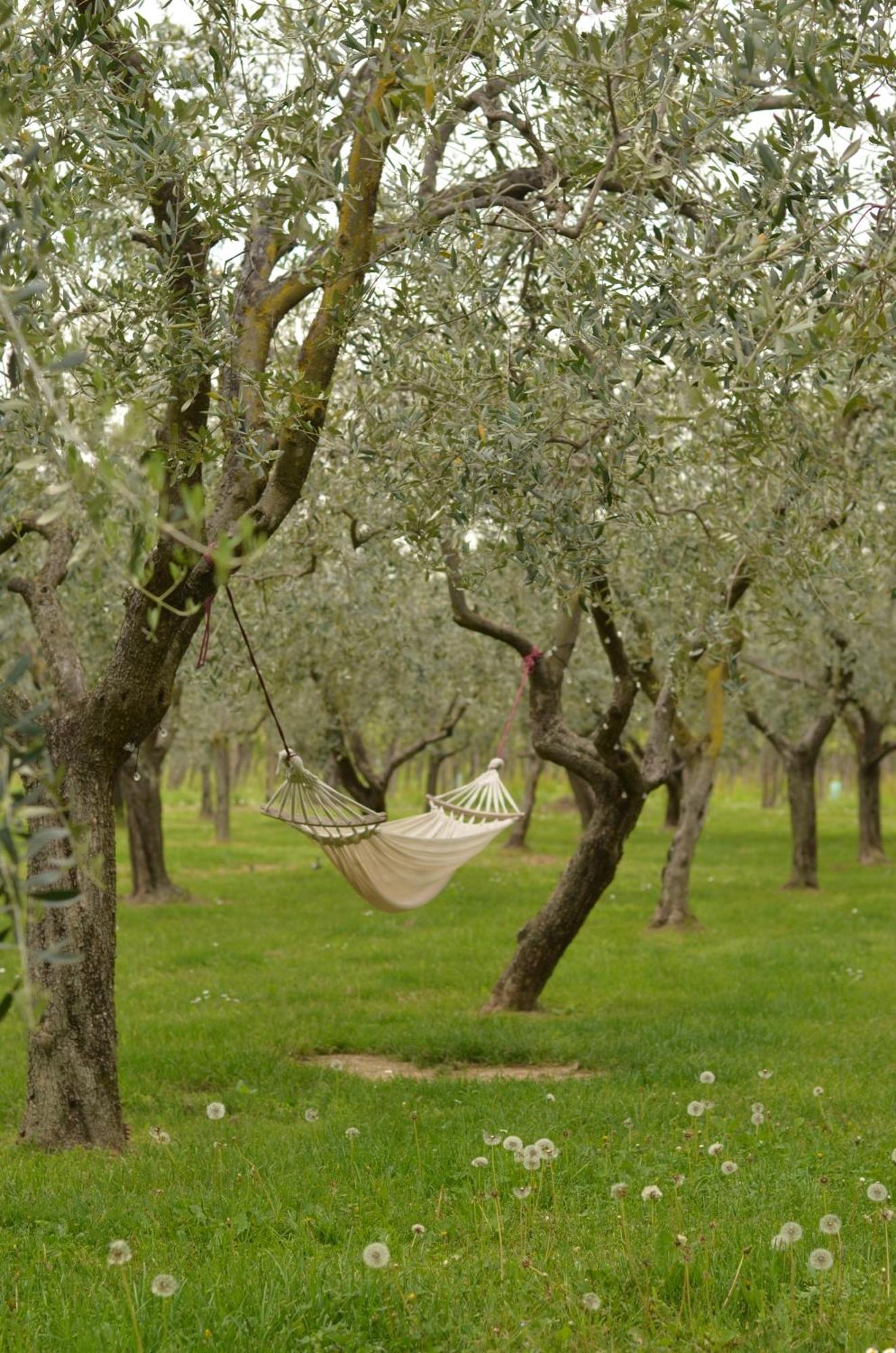 B&B La Cipressina Cavaion Veronese Exteriér fotografie